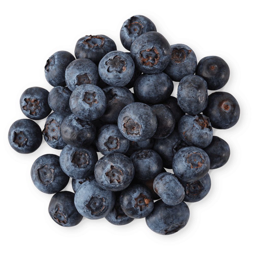 Pint Blueberries - 1 pt