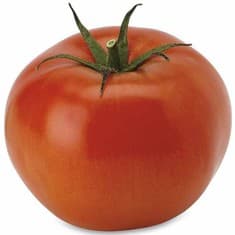 Beefsteak Tomato per lb Produce deal at Publix