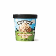Ben & Jerry's Ice Cream 1 pt Frozen deal at Publix